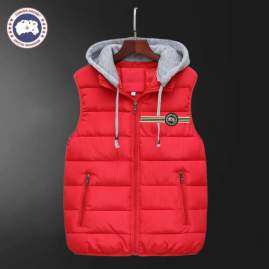 Picture of Canada Goose Jackets _SKUCanadaGooseM-3XL12yx3635125
